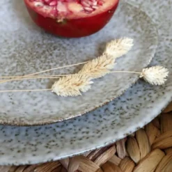 Novastyl Assiettes Plates Lot De 6 Assiettes à Dessert En Grès 19,5cm -Assiettes Soldes Magasin lot de 6 assiettes a dessert en gres 19 5cm 2